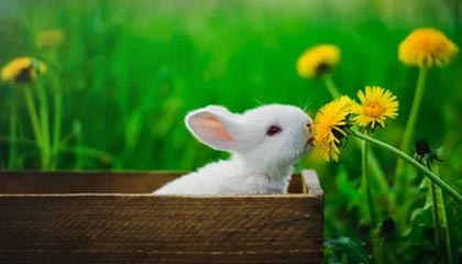 永春伴游,定制QQ:3494206190微信:act1322