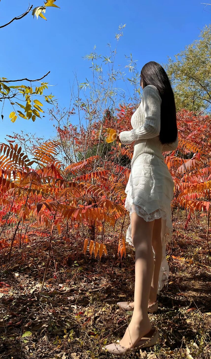 54414A97B5A65D7B8B5138BBD1053B31.jpg 54414A97B5A65D7B8B5138BBD1053B31.jpg